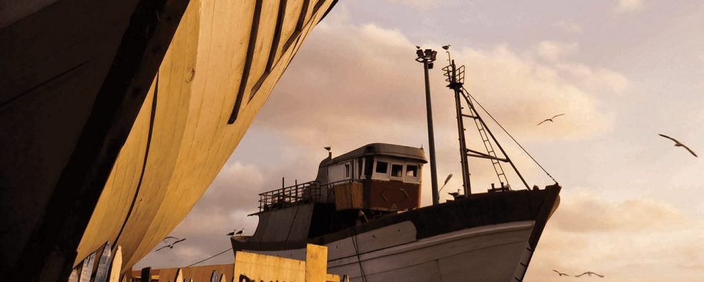 Gold Marine – Marine Grade Calibrated 30 years Warranty IS 710 E0