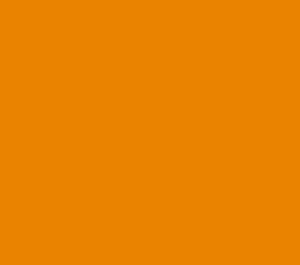 -18511  Mango