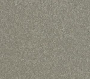 Gothic Grey