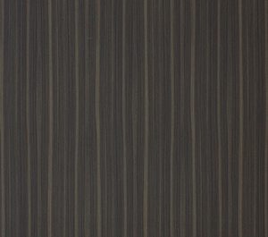 European Walnut