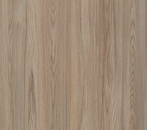 Kitami Elm