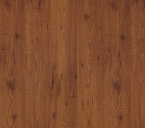 Venosta Pine