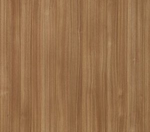 Teak Wood
