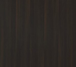 Dark Wood