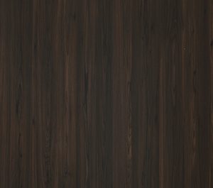 Jarama Elm