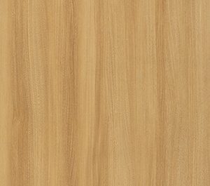 Caucasian Elm Dark