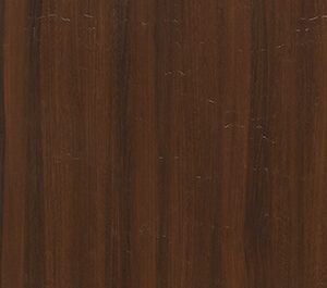 Caucasian Elm Light