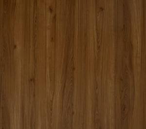 Eastern Walnut