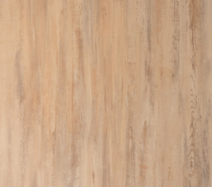 Turkey Oak
