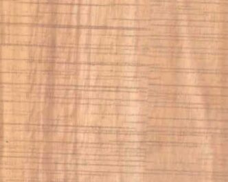 WILD WOOD