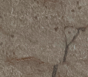 Marfil Marble Brown