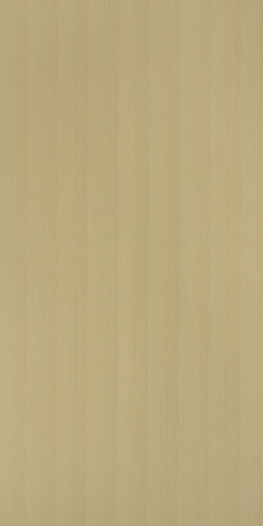 Schiersce Beech