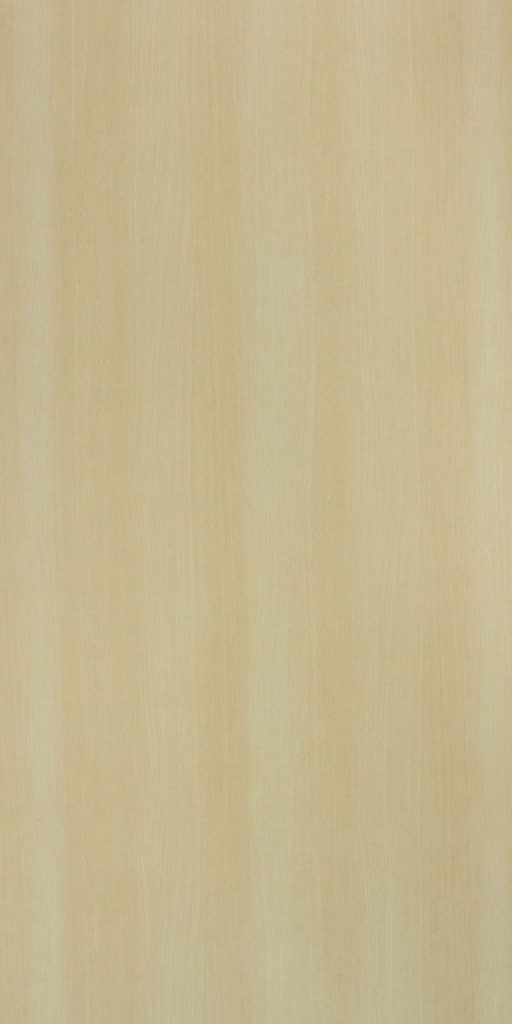 Steam Beech