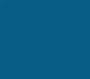 INK Blue