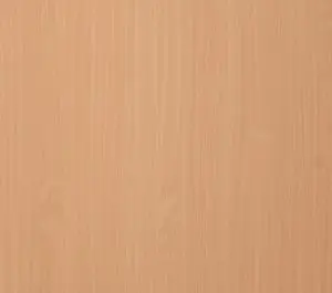 Bavarian Beech