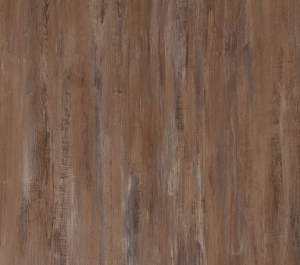 Turkey Oak Dark