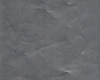 Silver Brush