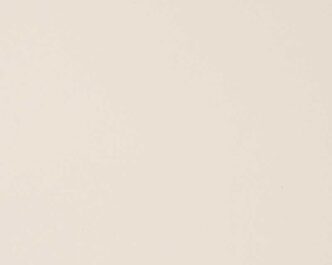 MYSORE IVORY
