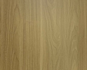 Persian Walnut